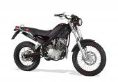 2013 Rieju Tango 125   photo